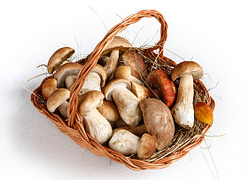 在篮子里的蘑菇照片