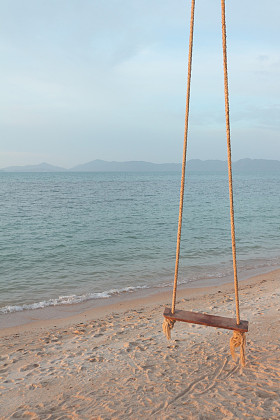 摆动从棵椰子树挂起照片