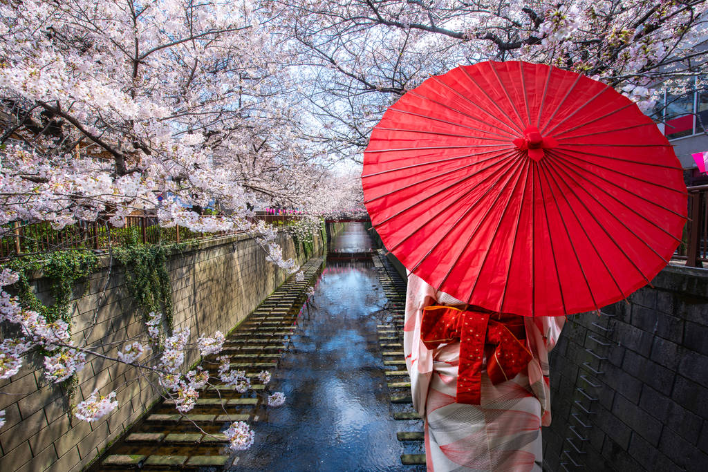 身穿日本传统和服的亚洲女旅行者  身穿日本传统和服的亚洲女旅行者