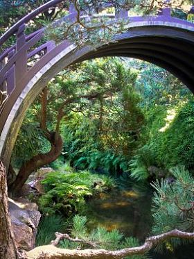 日本茶花园池塘和桥