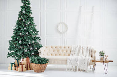 典雅典雅的室內(nèi)裝潢 