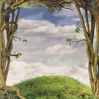 一个美丽的林地场面与树木和草和空间