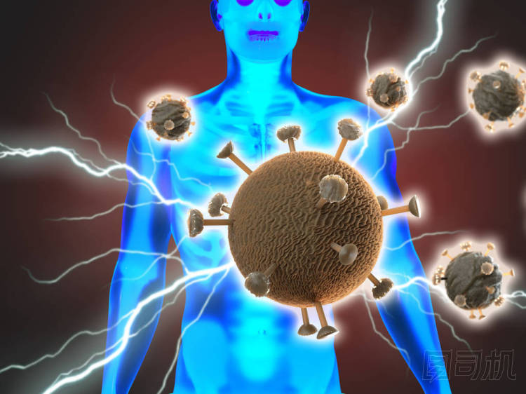 2019年中國新的珊瑚的概念，3D渲染