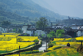婺源县农村景