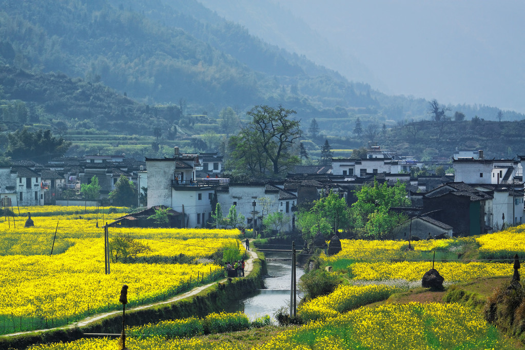 婺源县农村景