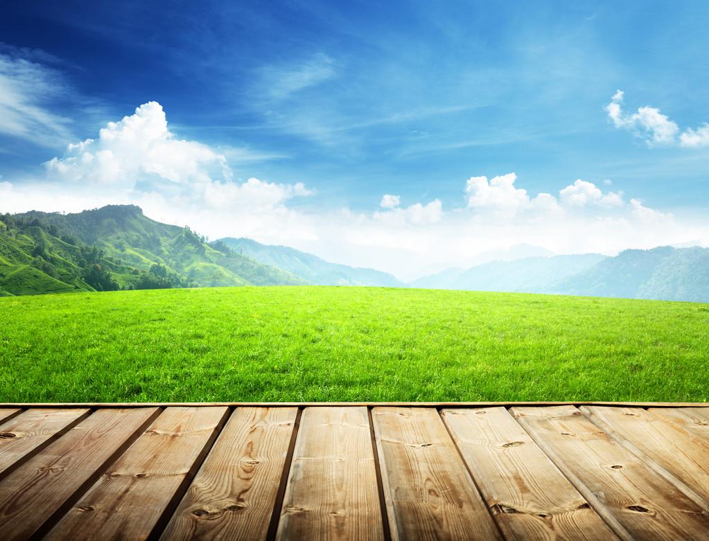 山和木地板中的字段