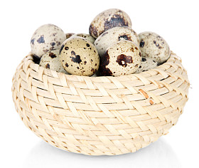 鹌鹑蛋在柳条篮上白色隔离图片