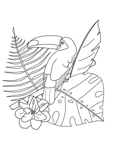 在丛林中的树枝上碰碰。 彩色书 