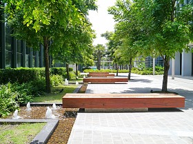 在夏天的现代花园.图片