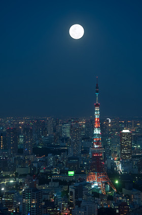 东京城市景观图片