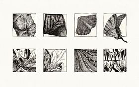 自然纹理 （油墨)图片