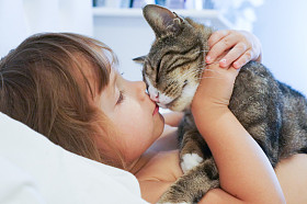 孩子亲吻一只猫图片