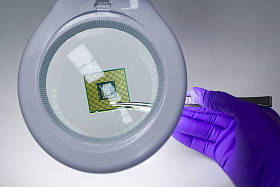 在放大镜下,手握紫色手套,装有一对镊子的微晶片. 专注于晶片