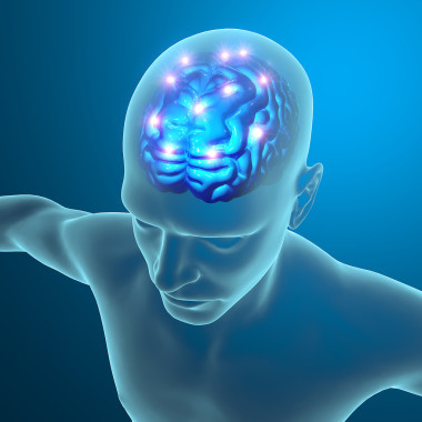 大腦神經(jīng)元突觸圖片