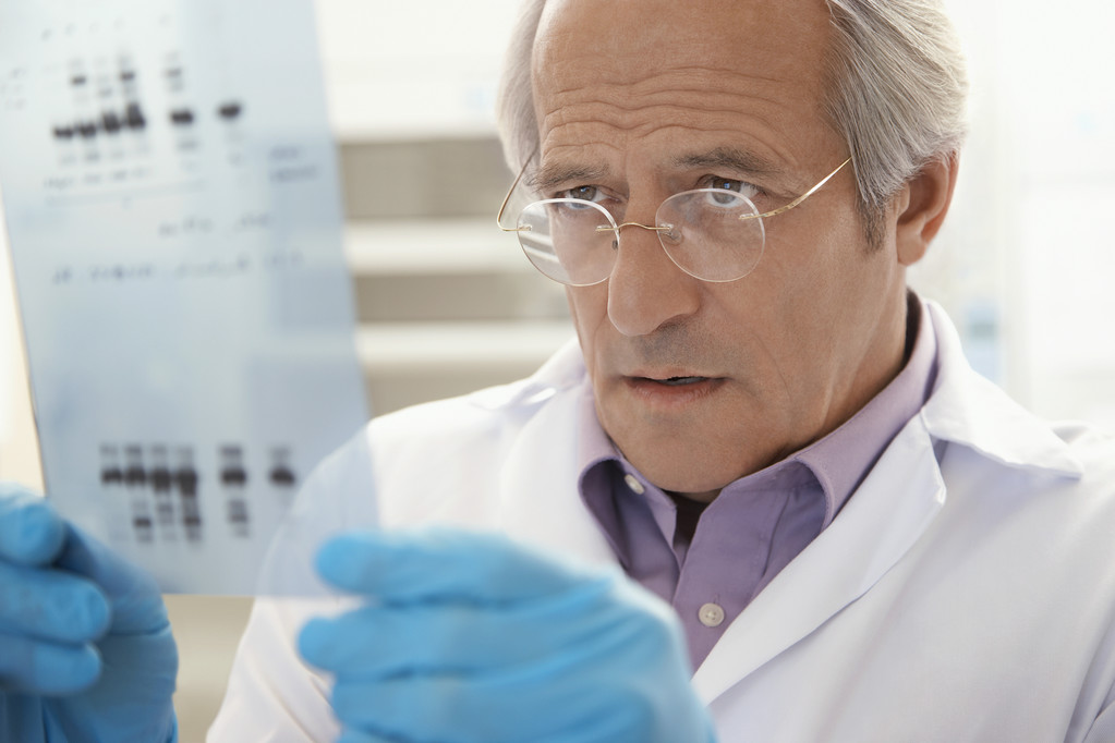 高级实验室技术员  高级实验室技术员