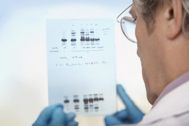 技术人员检查图表图片