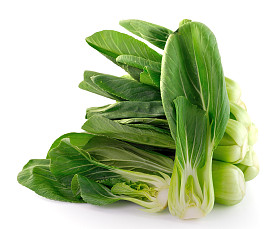 白菜 （大白菜） 孤立的白色背景上