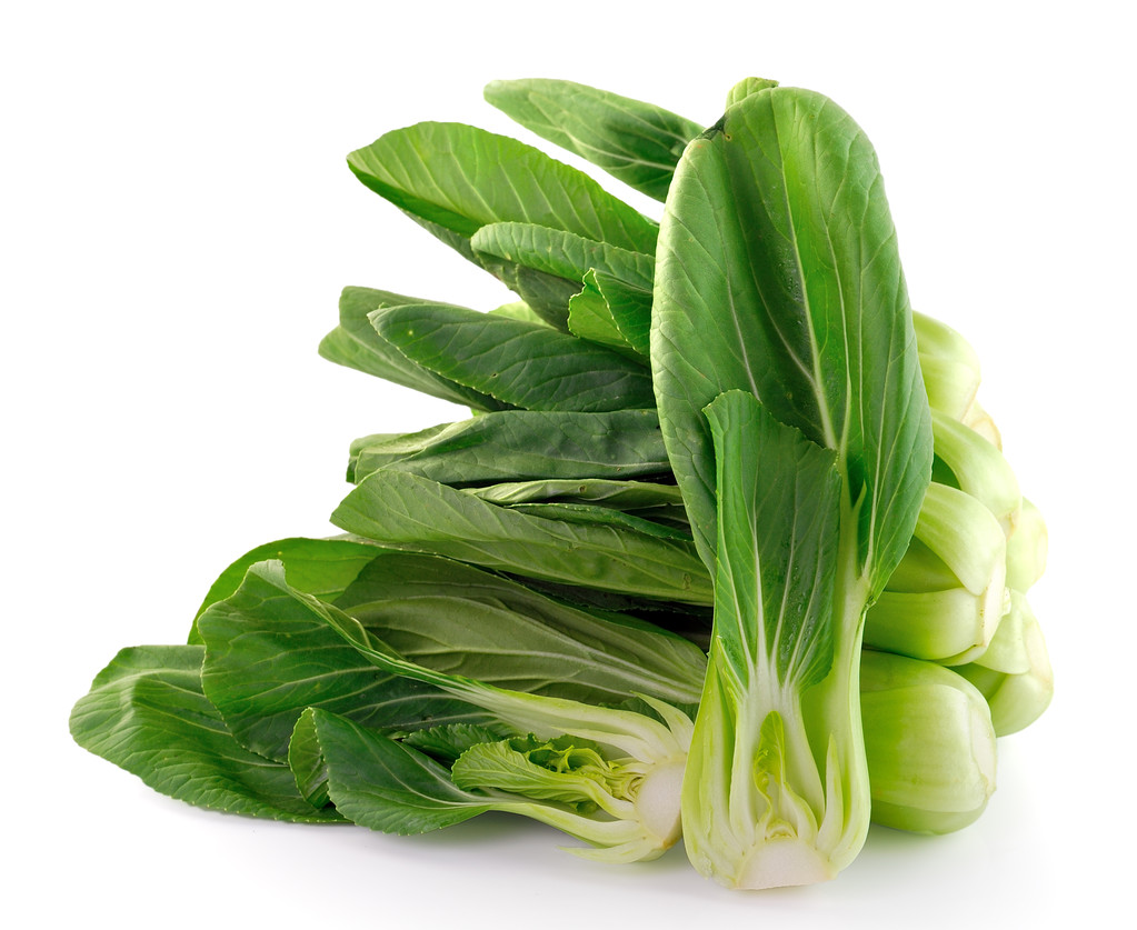 白菜 （大白菜） 孤立的白色背景上