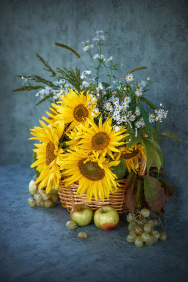 古色古香的开花植物的静谧生命