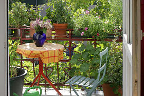 用鲜花和植物阳台