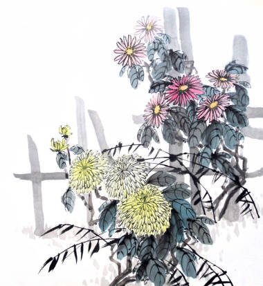  菊花水彩畫,中國(guó)傳統(tǒng)水墨畫.為您的設(shè)計(jì)提供庫(kù)存圖解.       