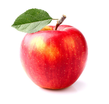 損壞我的《憂傷憂傷》和《憂傷憂傷》的照片