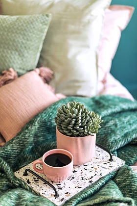 美丽的房间室内设计元素和装饰