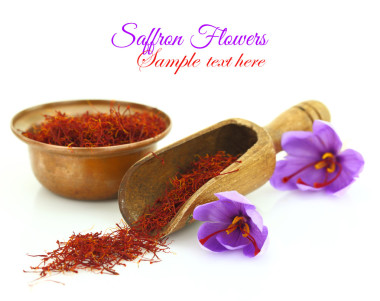 干藏紅花香料和孤立的白色襯底上的番紅花花