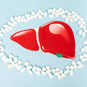 蓝边提取肝脏附近的药丸俯瞰图 