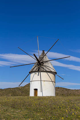 西班牙传统的旧风车，阿尔梅利亚省的Pozo de los Frailes，蓝天下的风车，传统的白色风车