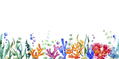 海洋水色框架與海洋植物、海藻、珊瑚礁、樹葉、石頭和氣泡接壤。水下生物。完美的邀請(qǐng)函，派對(duì)裝飾，印刷