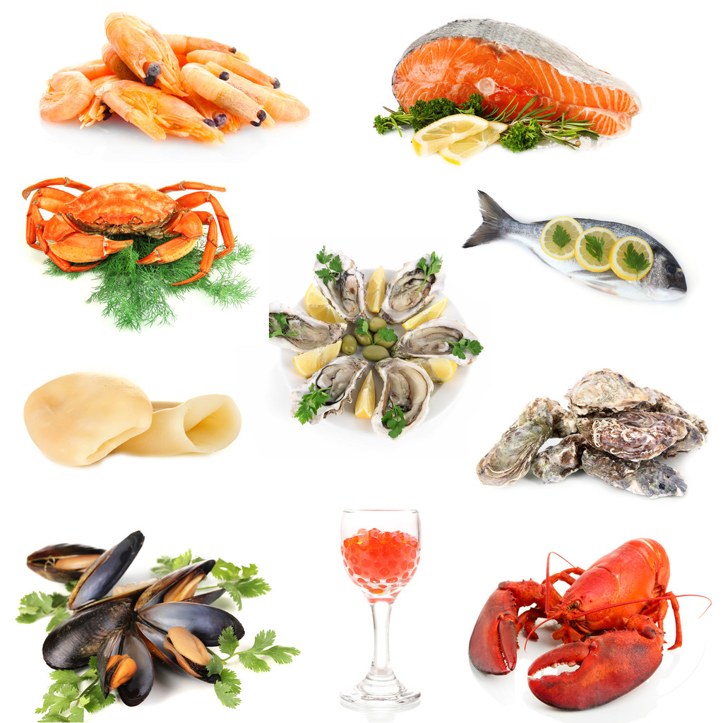 孤立在白色的海鲜图片 孤立在白色的海鲜图片