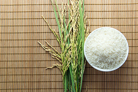 稻谷和大米粮食