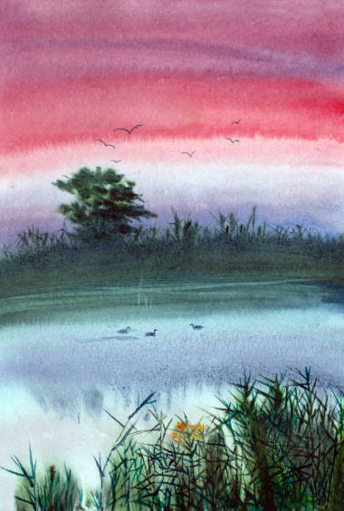 霧騰騰的蘆葦和鴨子在水