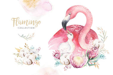 水彩畫(huà)可愛(ài)卡通畫(huà)與可愛(ài)的媽媽火烈鳥(niǎo)和寶寶，花葉。 母子插圖鳥(niǎo)類(lèi)的設(shè)計(jì). 熱帶媽媽鳥(niǎo)裝飾