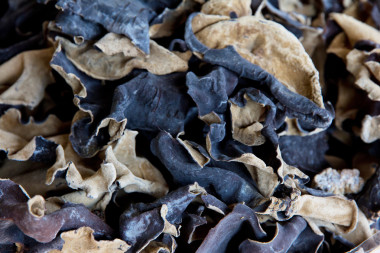 有機(jī)黑木耳香菇