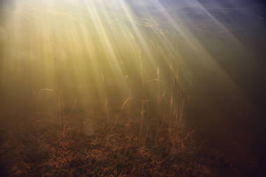 輕盈的水下淡水湖,抽象的背景,自然景觀,陽光