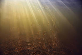 轻盈的水下淡水湖,抽象的背景,自然景观,阳光