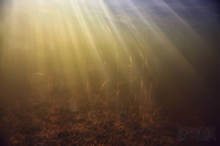 輕盈的水下淡水湖,抽象的背景,自然景觀,陽光