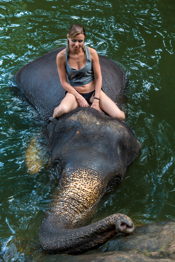 大象在水中的女孩图片 大象在水中的女孩图片