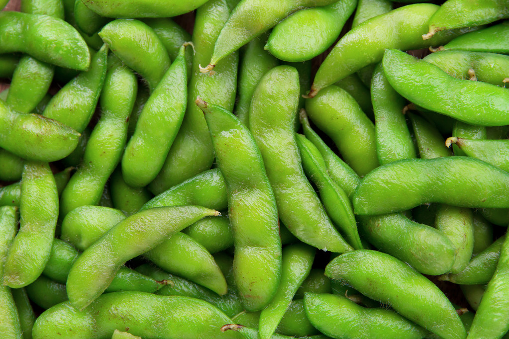 毛豆大豆豆 毛豆大豆豆