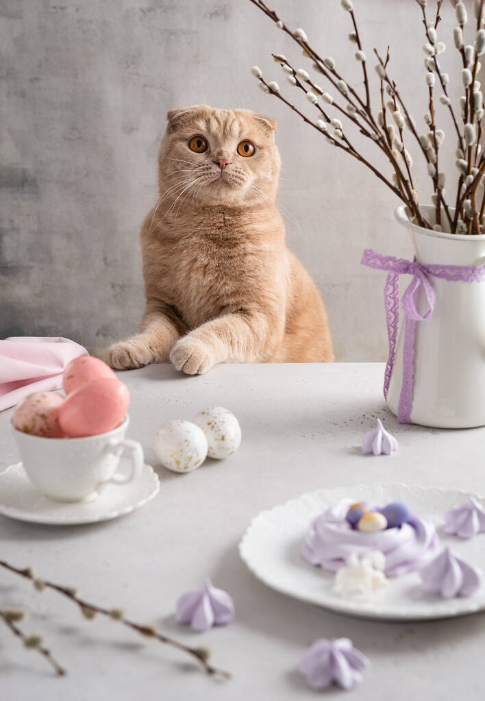 复活节庆祝活动-节日桌上有趣的猫。复活节贺卡,海报概念。小巴甫洛娃窝,桌上放着糖蛋和柳条花束。侧视图 复活节庆祝活动-节日桌上有趣的猫。复活节贺卡,海报概念。小巴甫洛娃窝,桌上放着糖蛋和柳条花束。侧视图