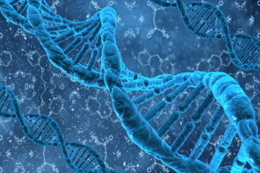 dna 的三維結(jié)構(gòu)