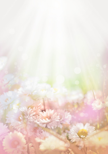 花卉背景