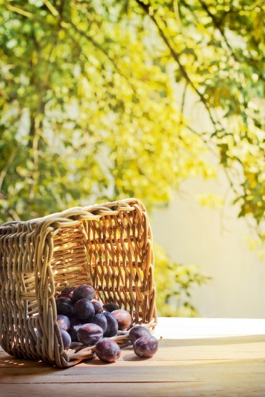 李子在籃子里照片