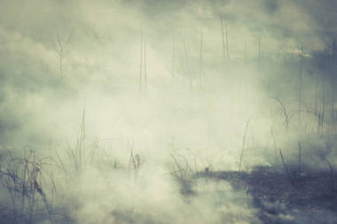 去年的草火和烟尘在田里烧干了