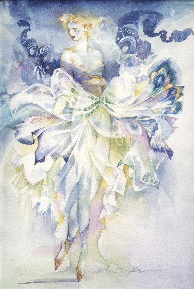 天堂鸟的寓言照片