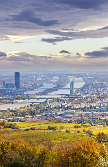 在秋天在黄昏的维也纳和多瑙河城市景