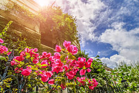 中国、亚洲厦门鼓浪屿风景图片