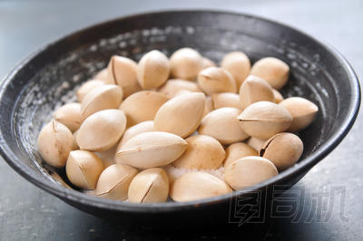 銀杏果實圖片